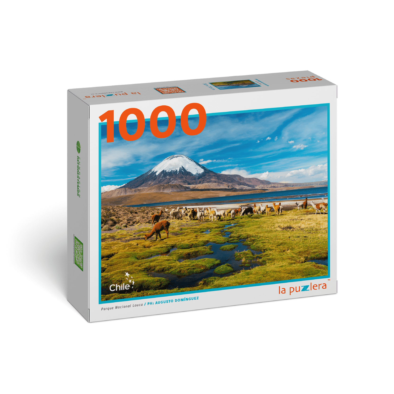 puzzle 1000 piezas parque nacional lauca