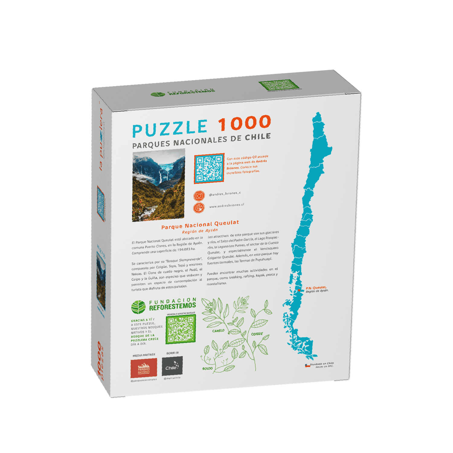 puzzle 1000 piezas parque nacional queulat